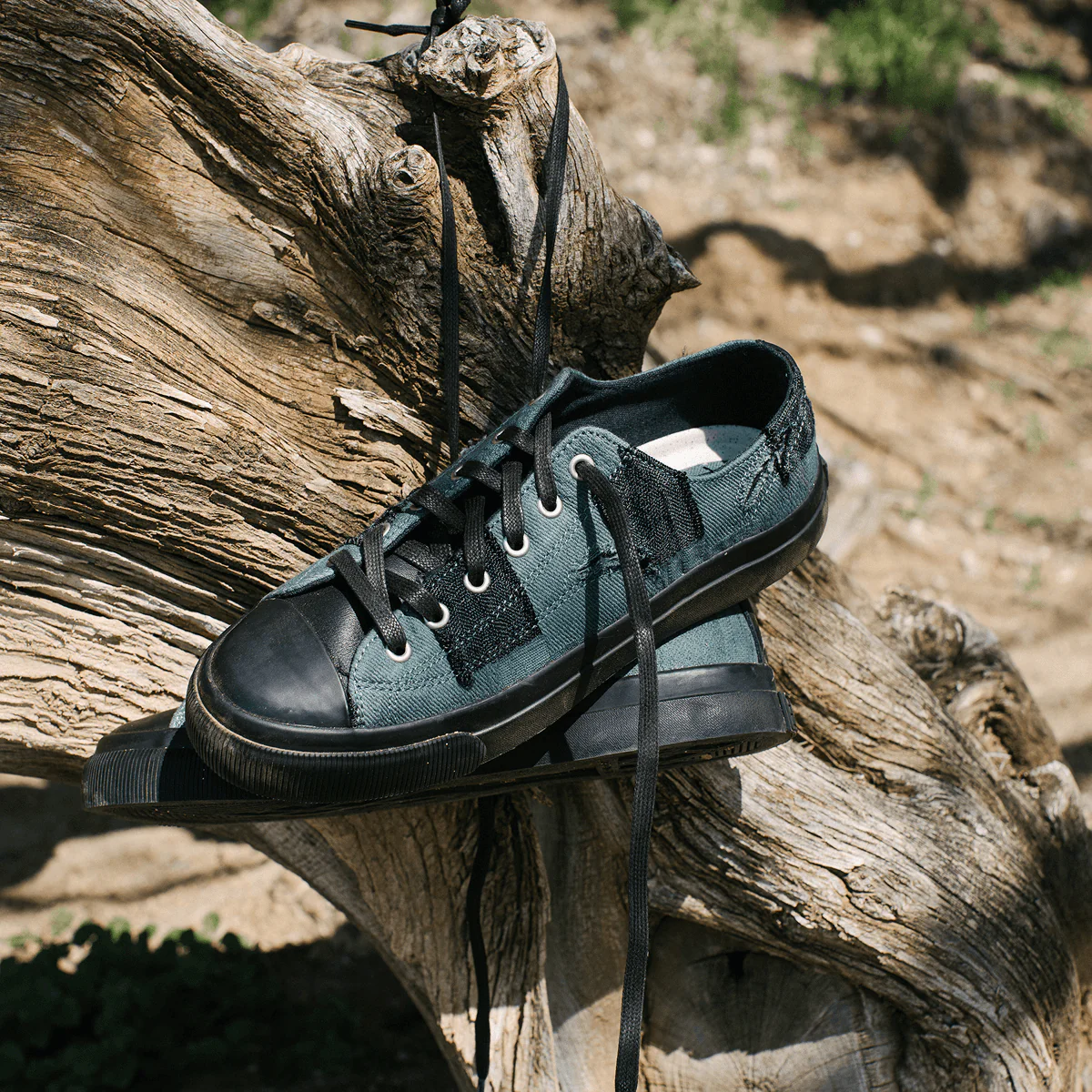 All-American Low-Top Deep Green/Black - Image 5